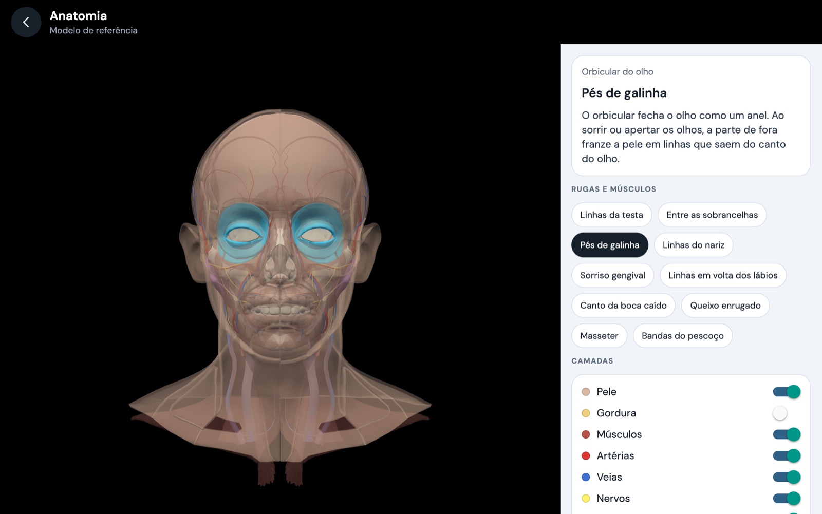 Modelo anatômico 3D com o músculo orbicular do olho destacado